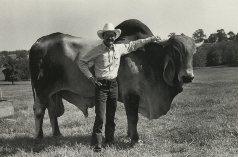 Jim Hightower with his hand on a longhorn behind him