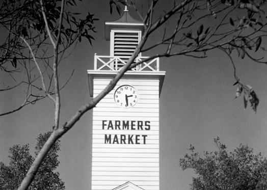 Farmer’s Markets in Texas