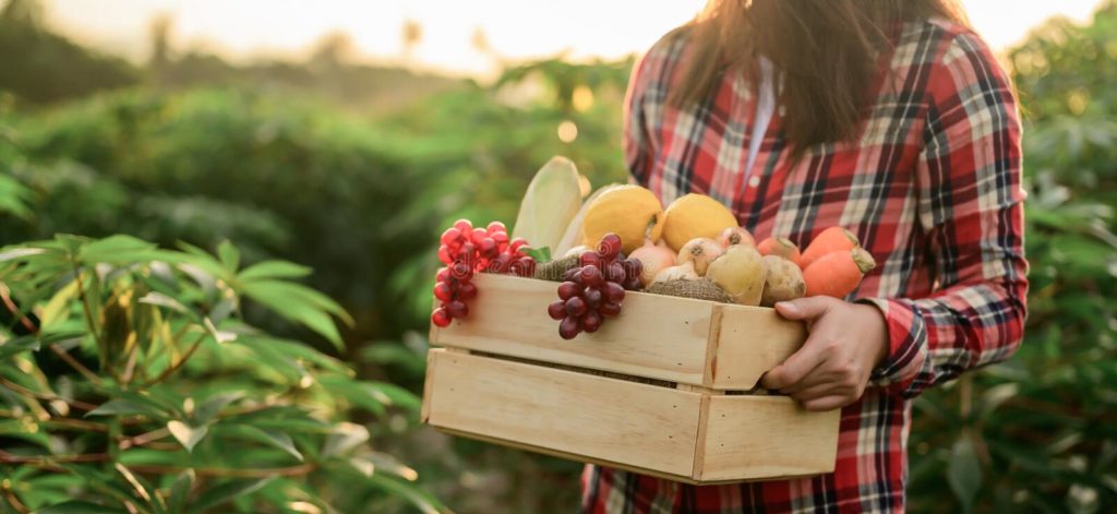 Women in a red flannel holding a wooden box of produce