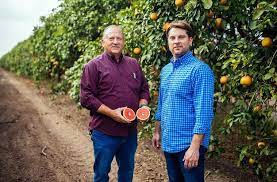 Dennis Holbrook holding a grapefruit in a blue shirt in front of crops next to another man
