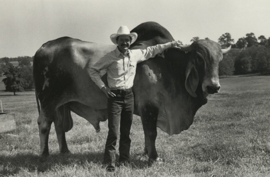  Jim Hightower and a cattle